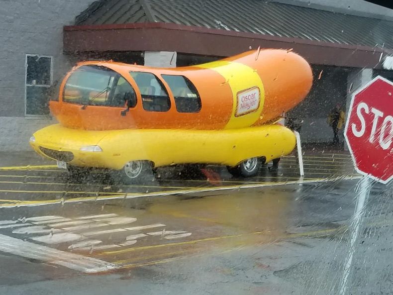 Gewoon een verzameling hilarische foto's #1573