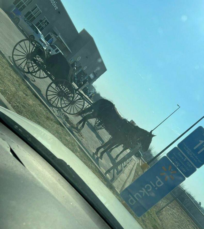 Gewoon een verzameling hilarische foto's #1574