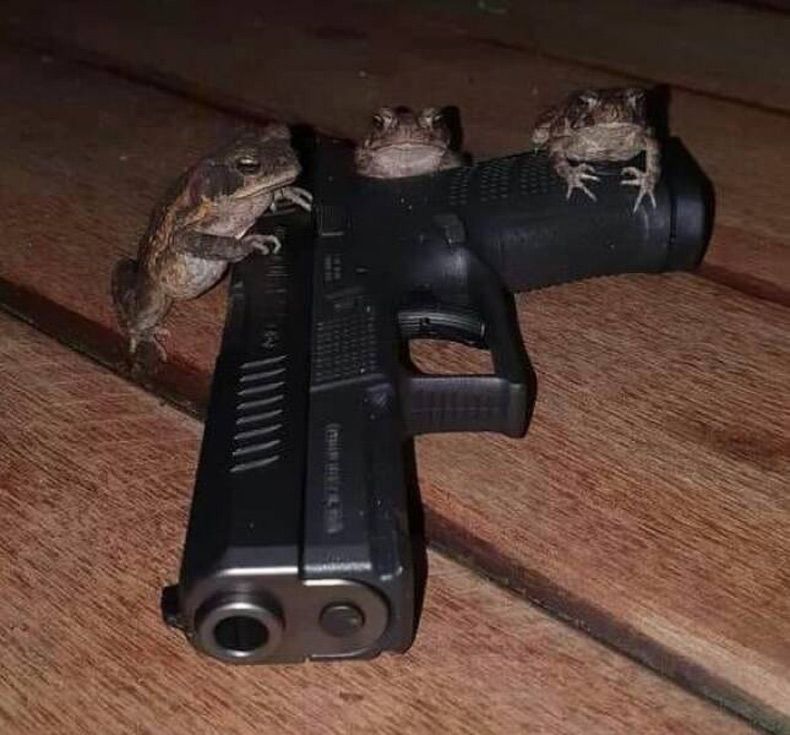 Gewoon een verzameling hilarische foto's #1574