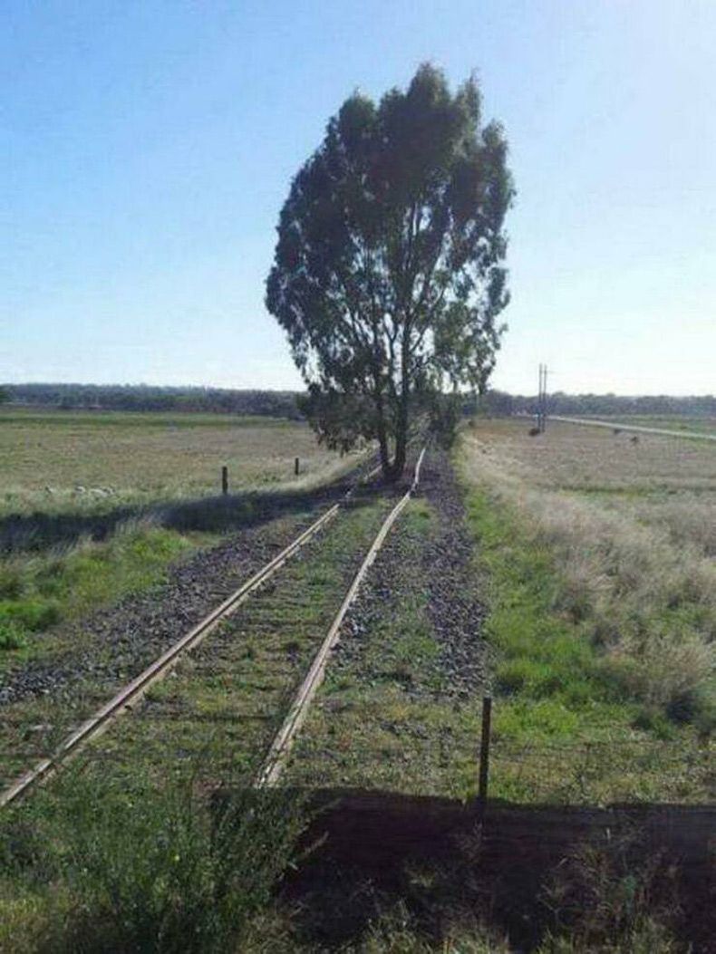 Gewoon een verzameling hilarische foto's #1574