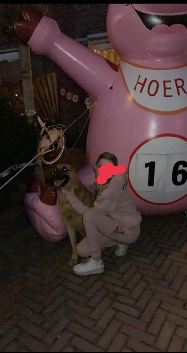 Gewoon een verzameling hilarische foto's #1574