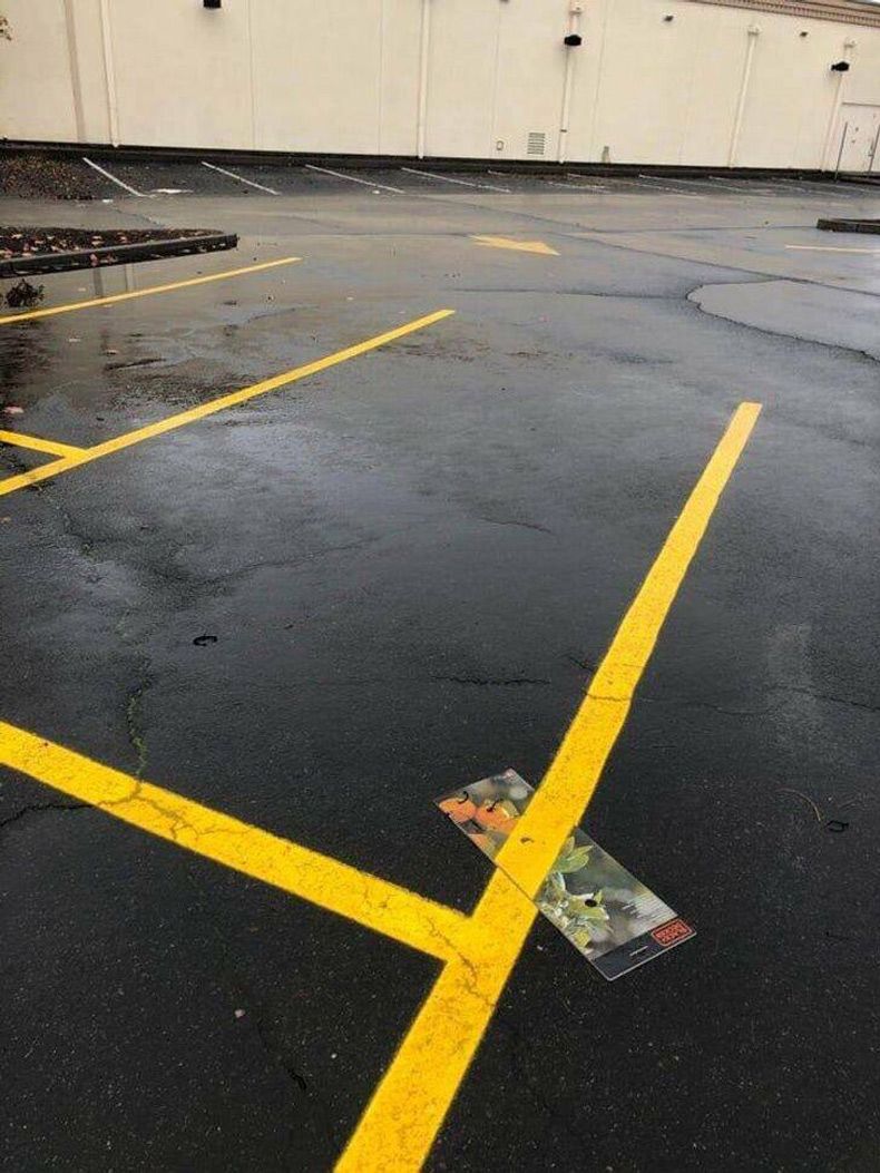 Gewoon een verzameling hilarische foto's #1575