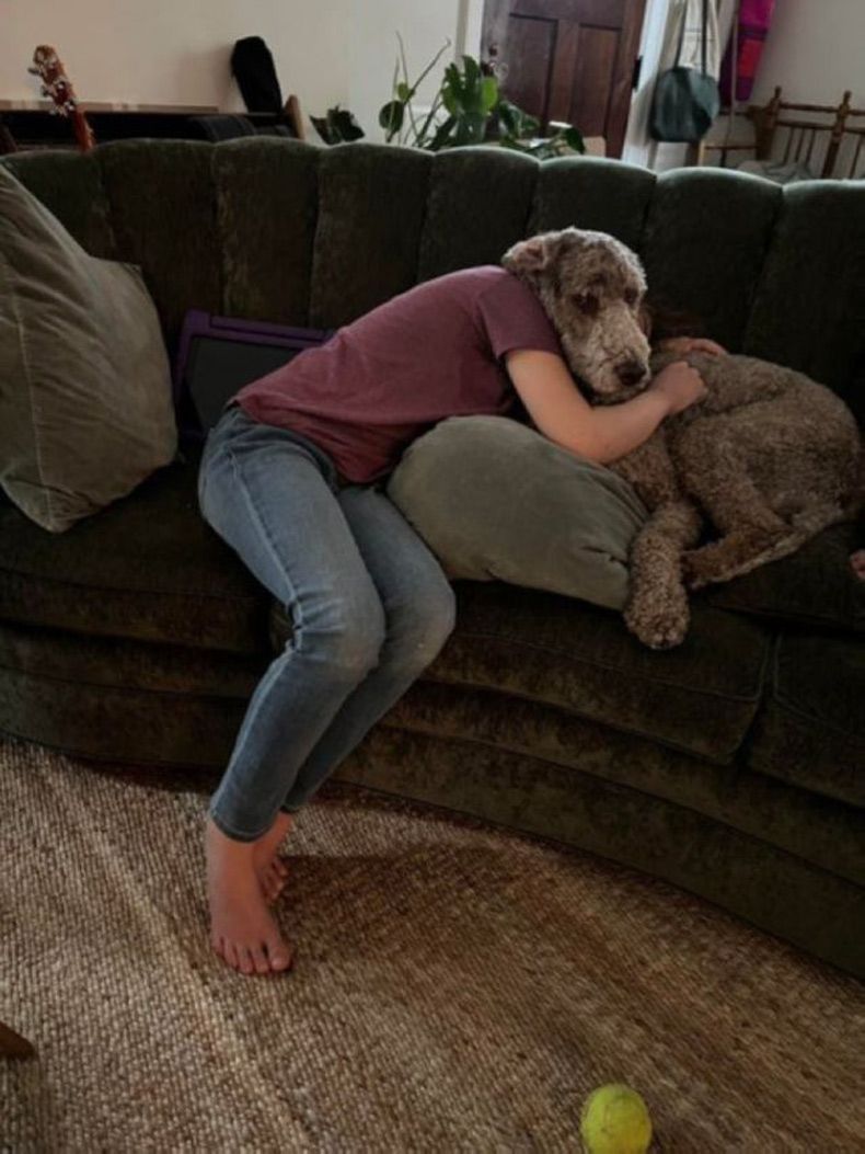 Gewoon een verzameling hilarische foto's #1575