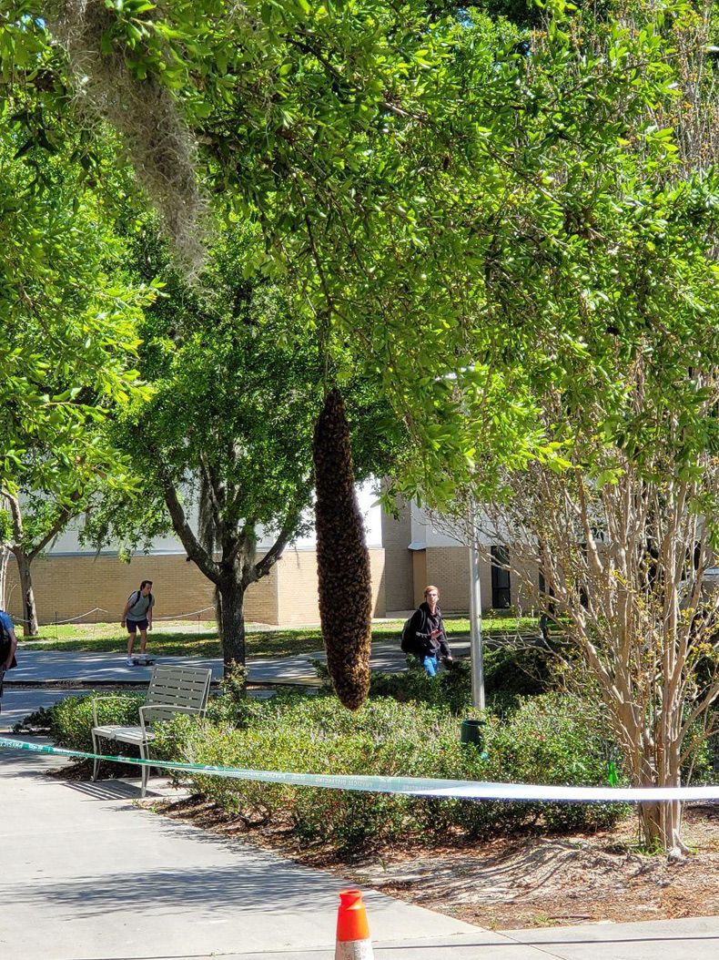 Gewoon een verzameling hilarische foto's #1575