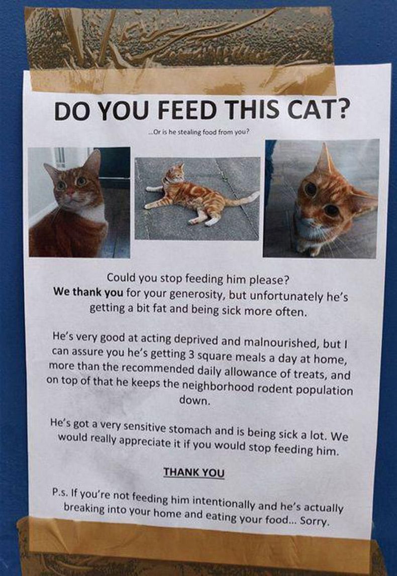 Gewoon een verzameling hilarische foto's #1575