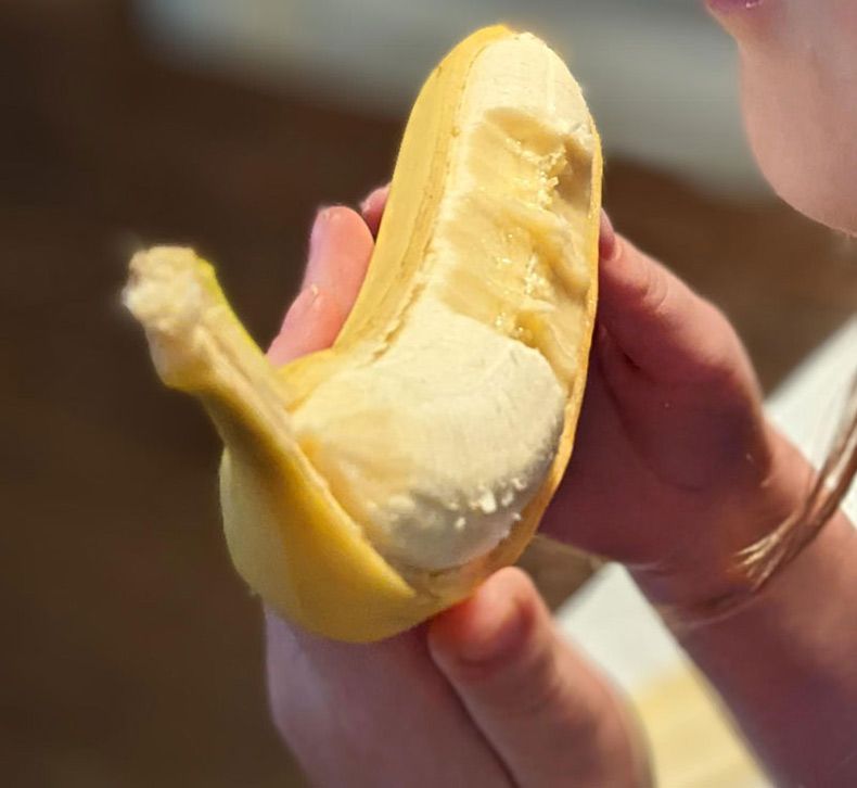 Gewoon een verzameling hilarische foto's #1575