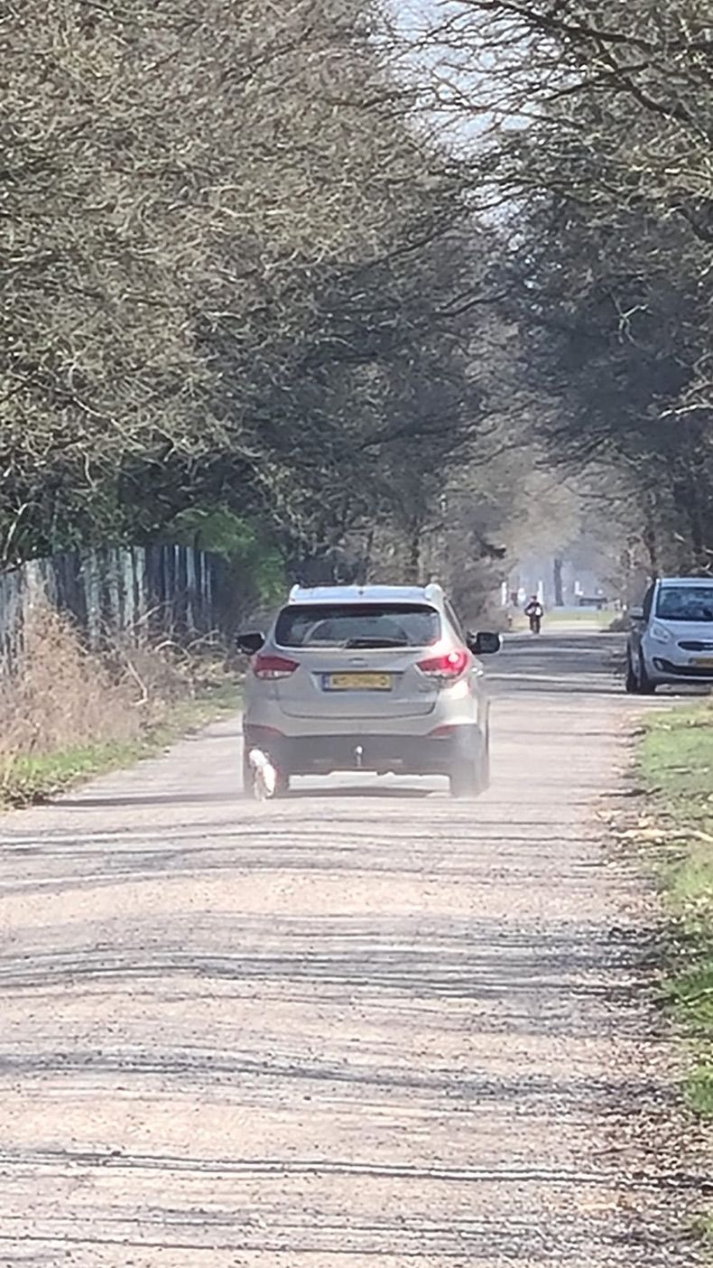 Gewoon een verzameling hilarische foto's #1575