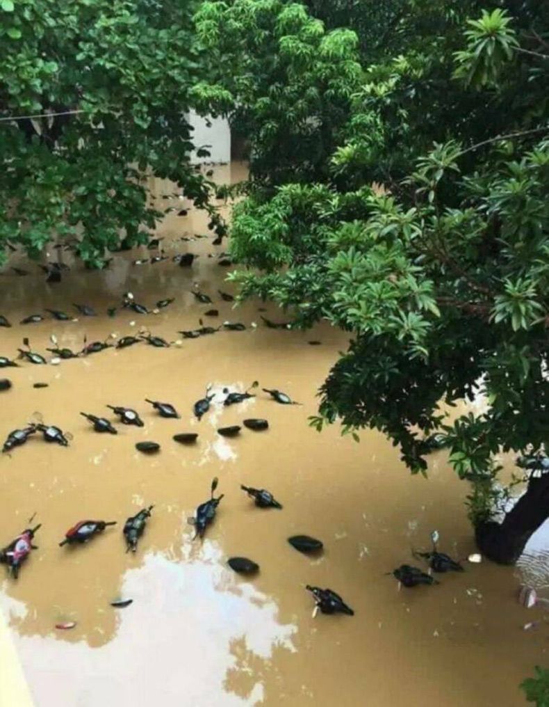 Gewoon een verzameling hilarische foto's #1577