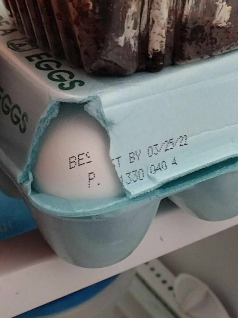 Gewoon een verzameling hilarische foto's #1577