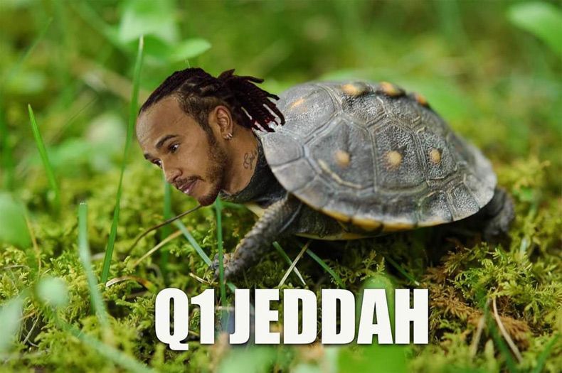 Gewoon een verzameling hilarische foto's #1577