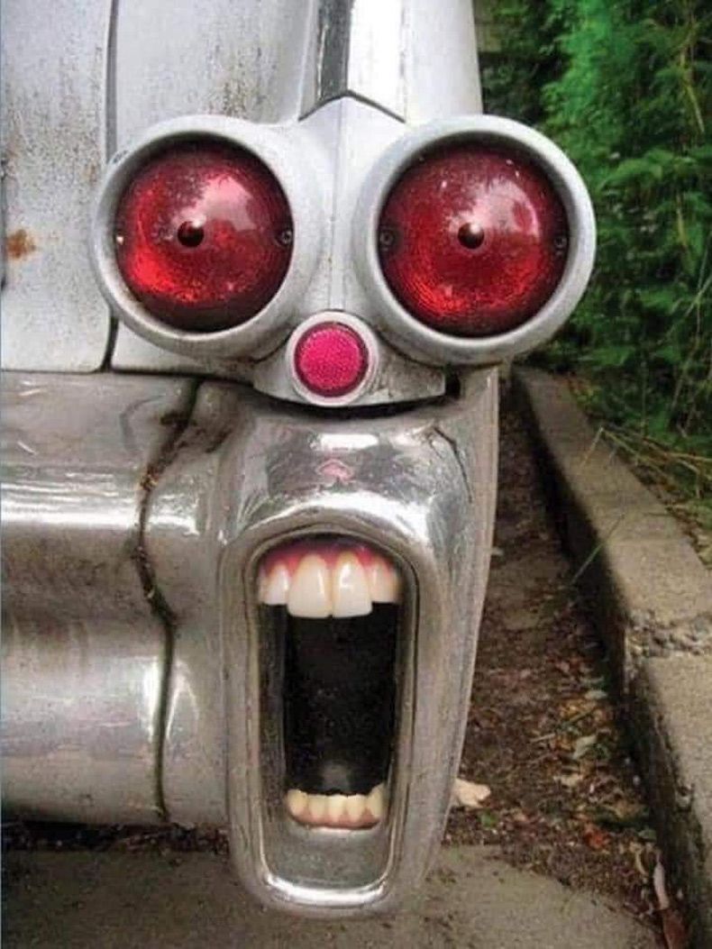 Gewoon een verzameling hilarische foto's #1577