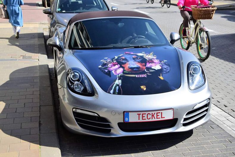 Gewoon een verzameling hilarische foto's #1577