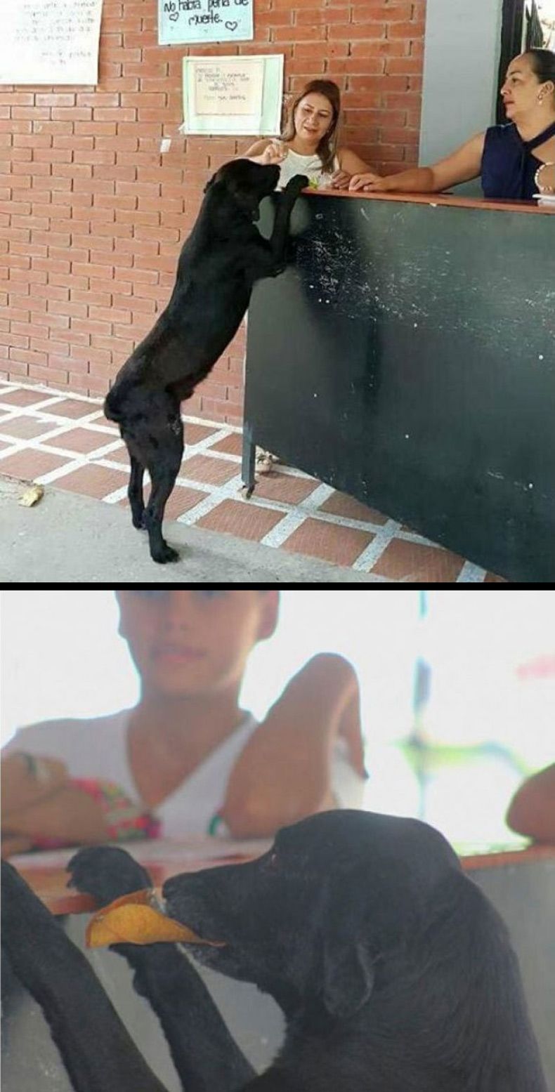 Gewoon een verzameling hilarische foto's #1577