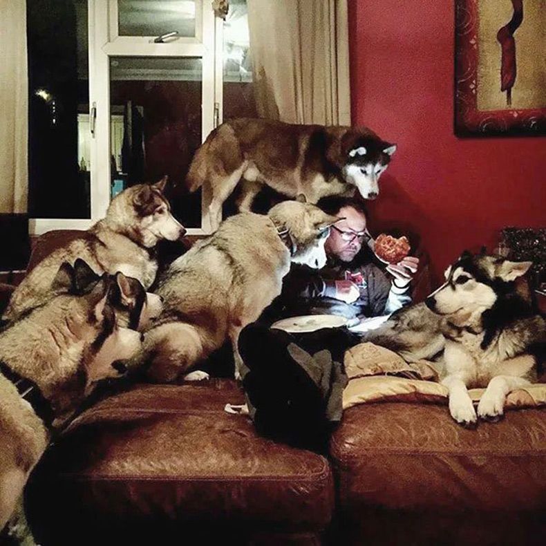 Gewoon een verzameling hilarische foto's #1577