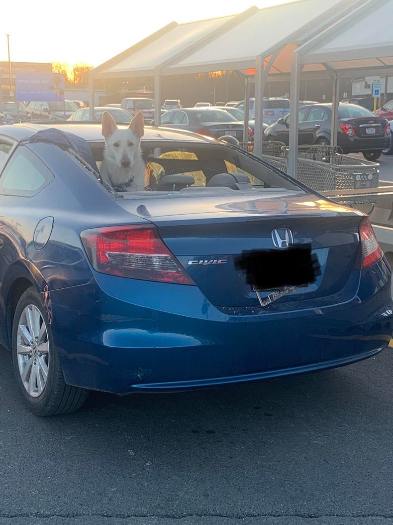 Gewoon een verzameling hilarische foto's #1577