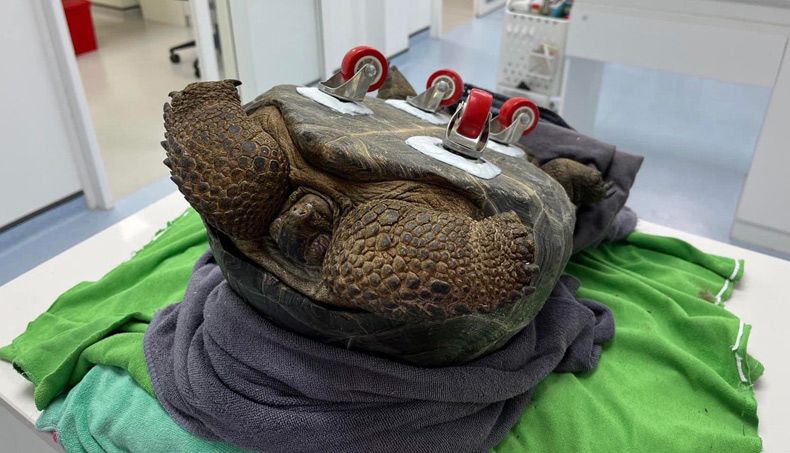 Gewoon een verzameling hilarische foto's #1580