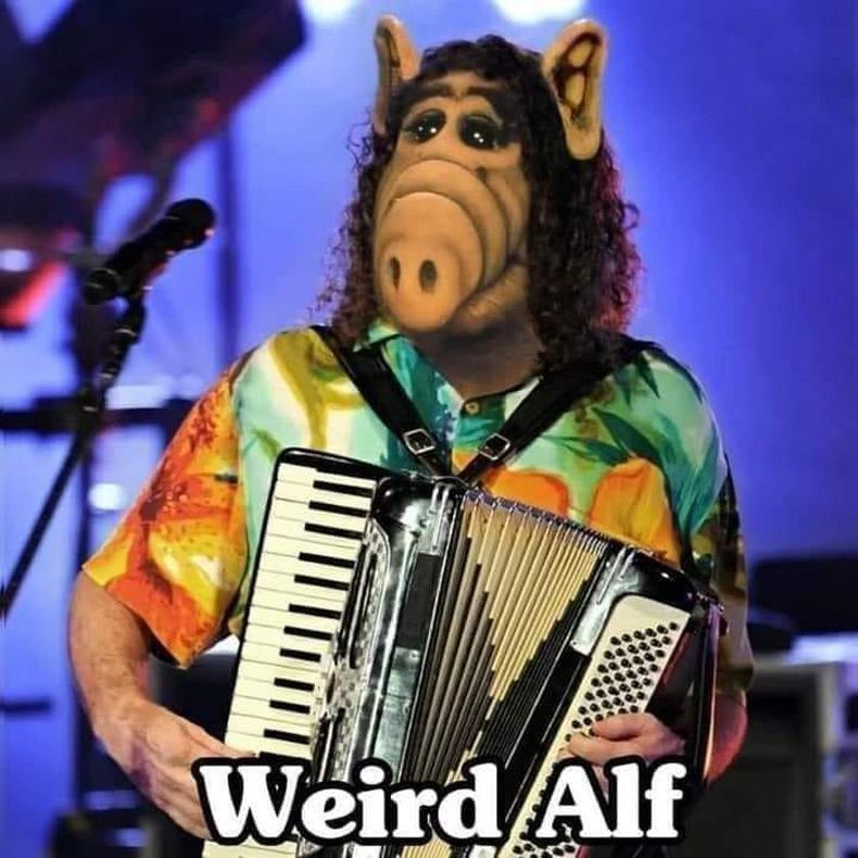 Gewoon een verzameling hilarische foto's #1580