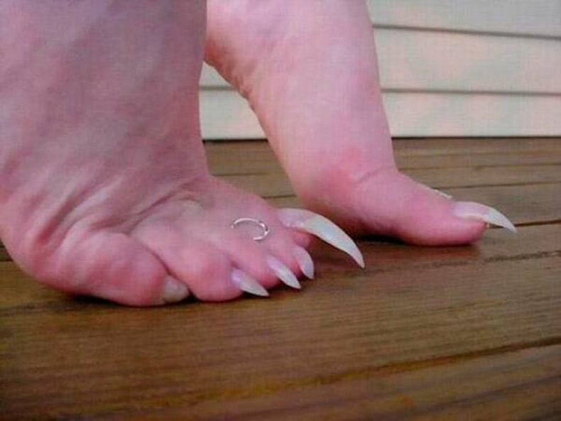 Gewoon een verzameling hilarische foto's #1580