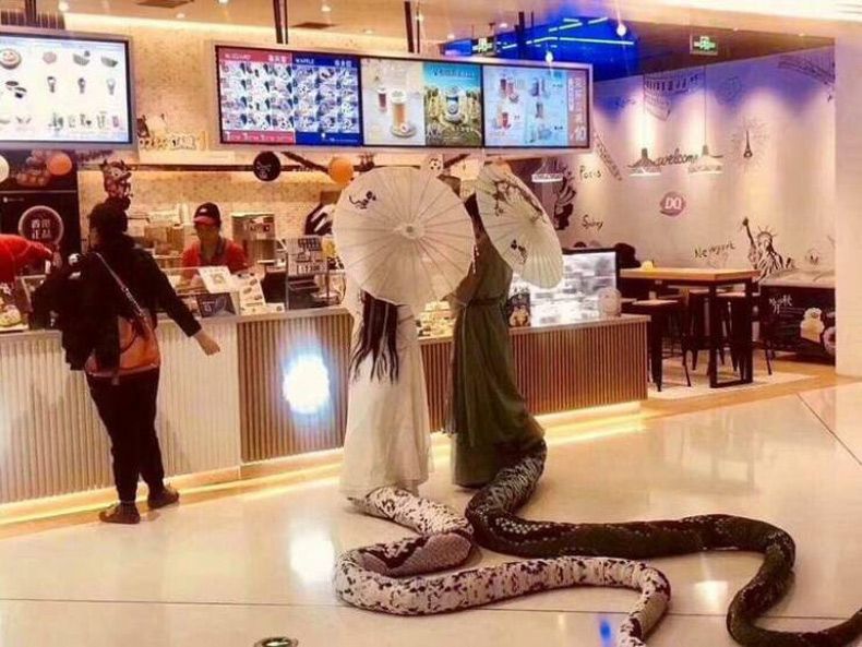 Gewoon een verzameling hilarische foto's #1580