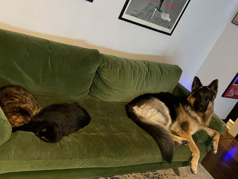 Gewoon een verzameling hilarische foto's #1580