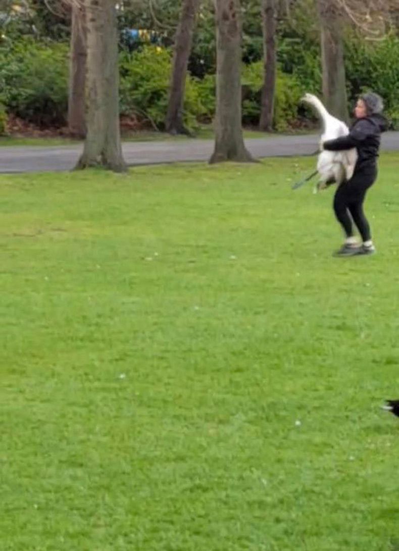 Gewoon een verzameling hilarische foto's #1580