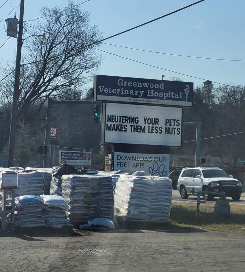 Gewoon een verzameling hilarische foto's #1580