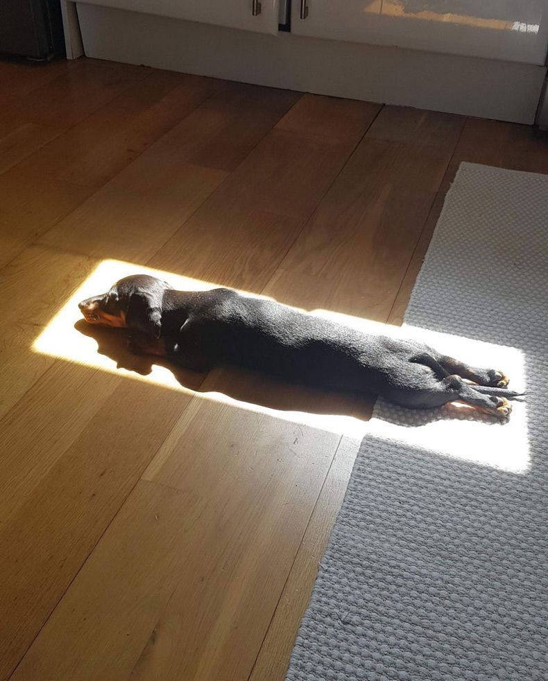 Gewoon een verzameling hilarische foto's #1580