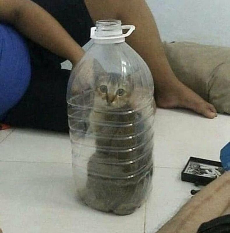 Gewoon een verzameling hilarische foto's #1581