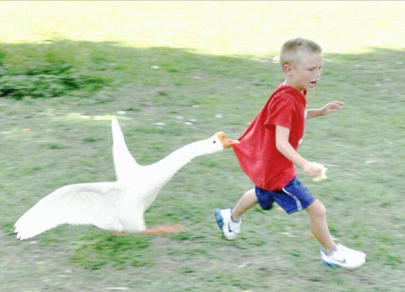 Gewoon een verzameling hilarische foto's #1581