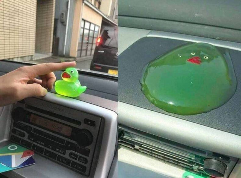 Gewoon een verzameling hilarische foto's #1581