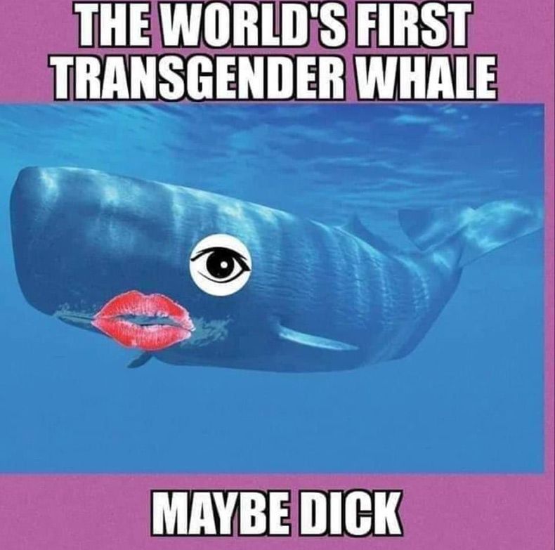 Gewoon een verzameling hilarische foto's #1581