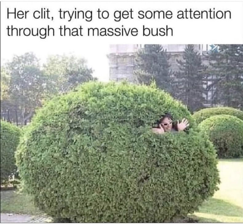 Gewoon een verzameling hilarische foto's #1581