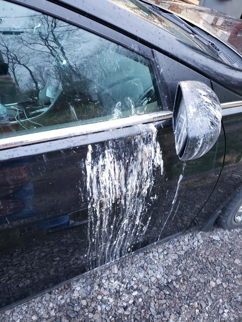 Gewoon een verzameling hilarische foto's #1582