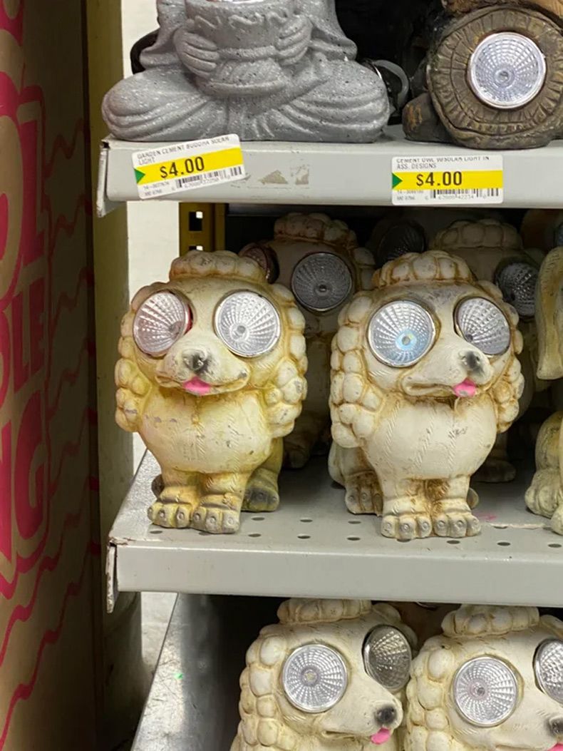 Gewoon een verzameling hilarische foto's #1582