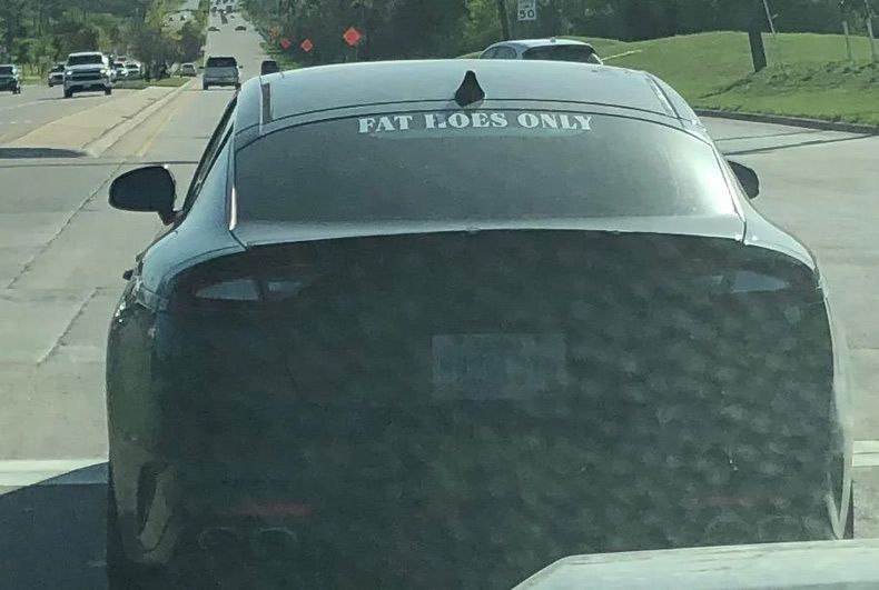 Gewoon een verzameling hilarische foto's #1582