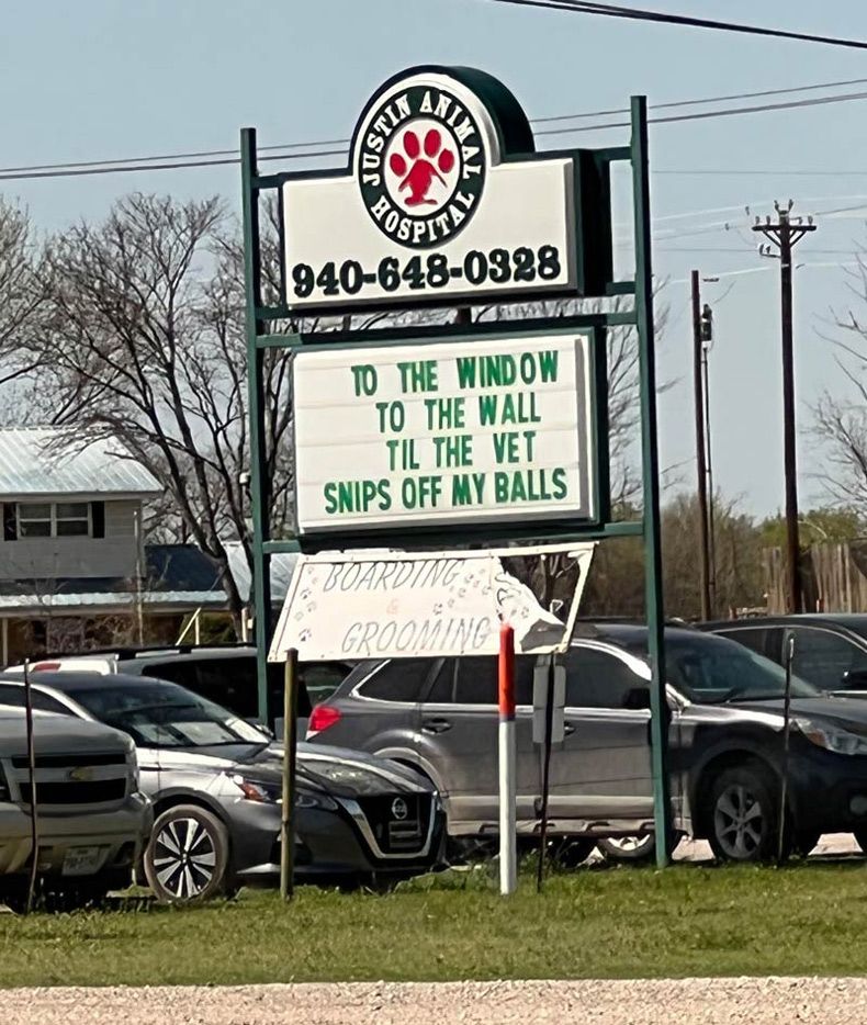 Gewoon een verzameling hilarische foto's #1582