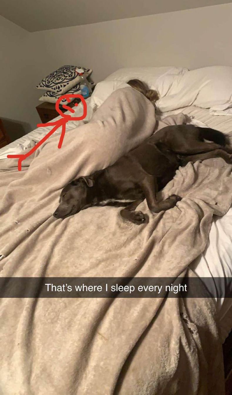 Gewoon een verzameling hilarische foto's #1582