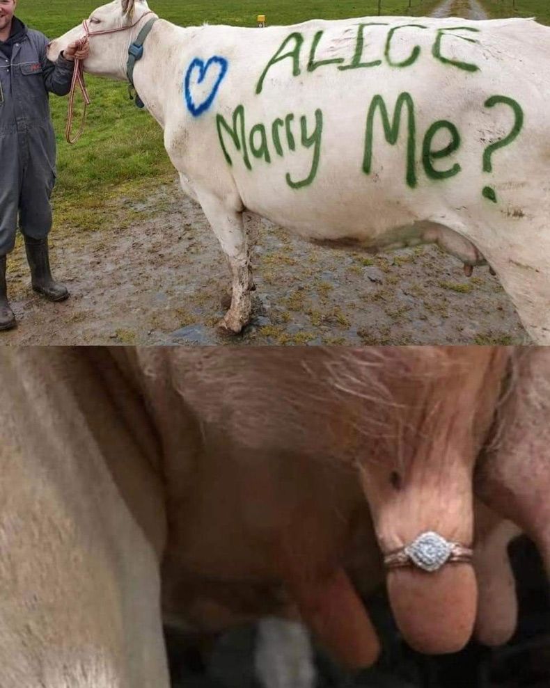 Gewoon een verzameling hilarische foto's #1582