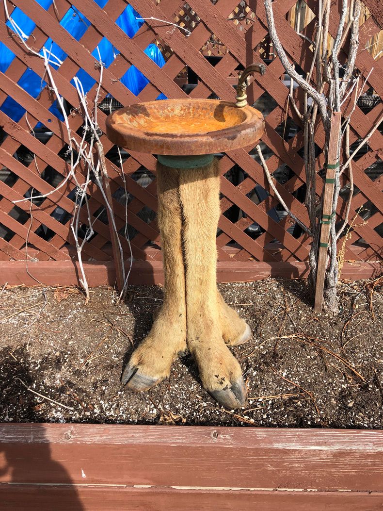 Gewoon een verzameling hilarische foto's #1582