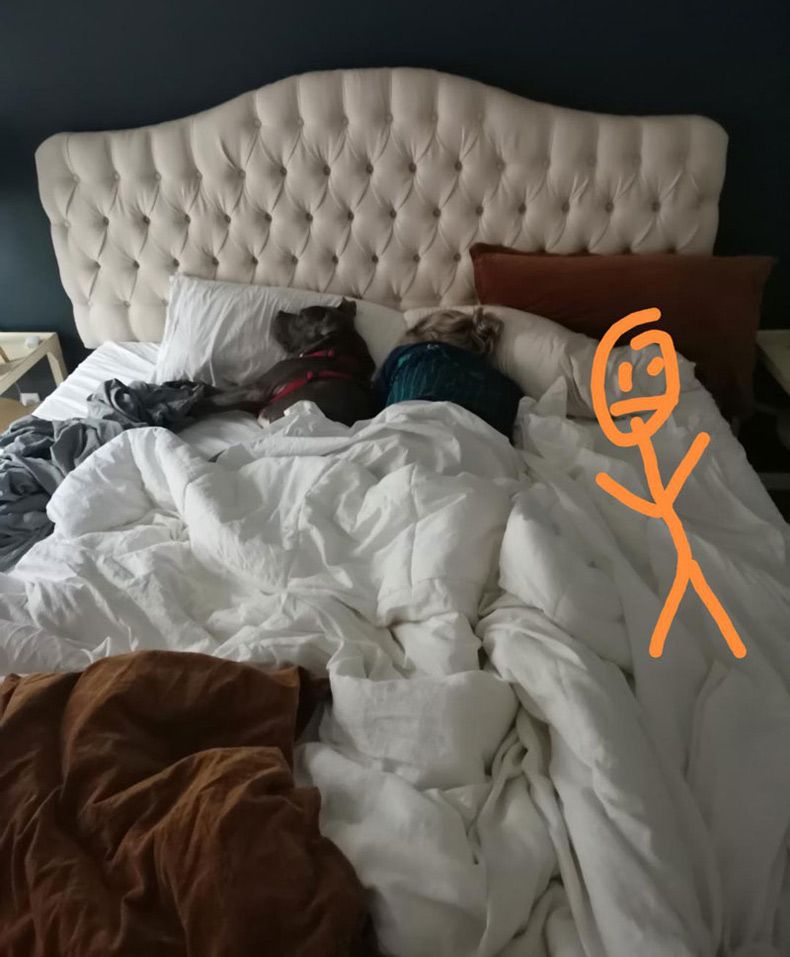 Gewoon een verzameling hilarische foto's #1582