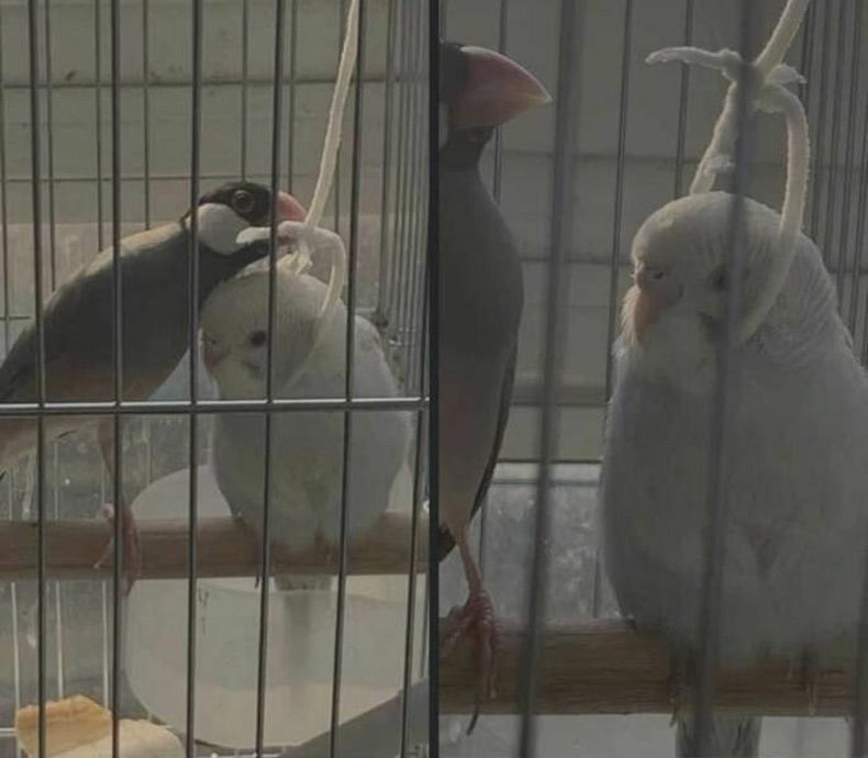 Gewoon een verzameling hilarische foto's #1583