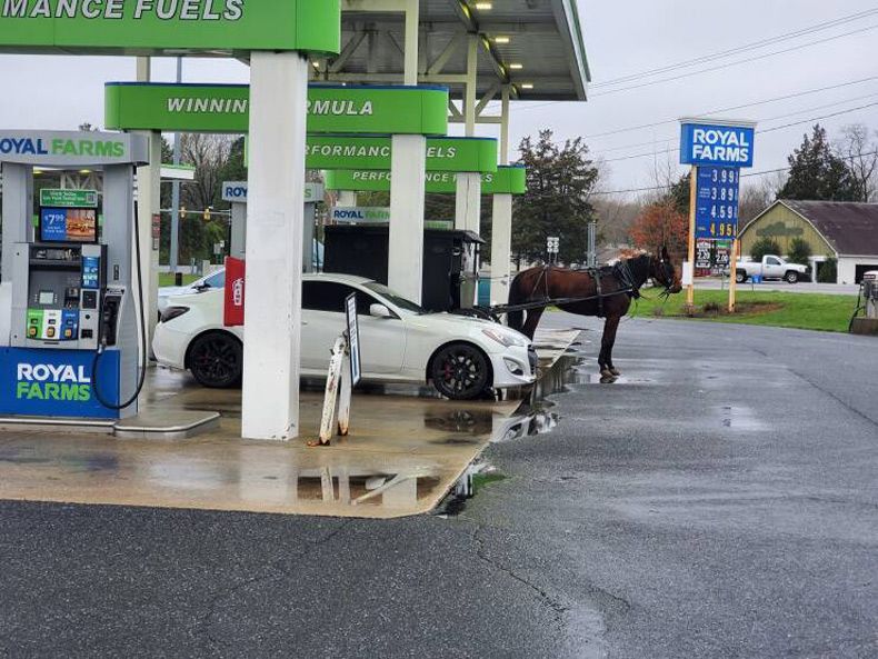 Gewoon een verzameling hilarische foto's #1583