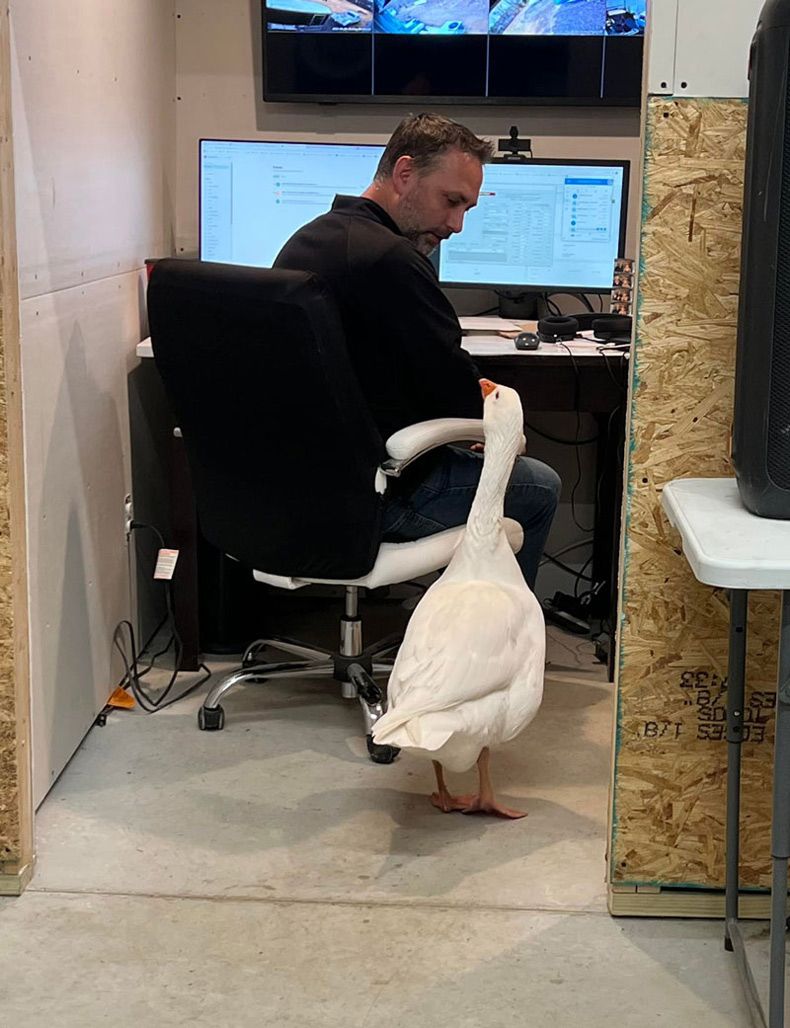 Gewoon een verzameling hilarische foto's #1583