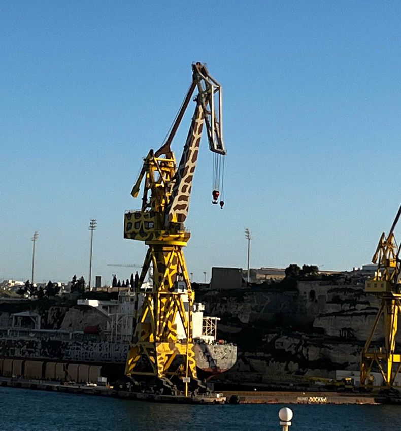 Gewoon een verzameling hilarische foto's #1583