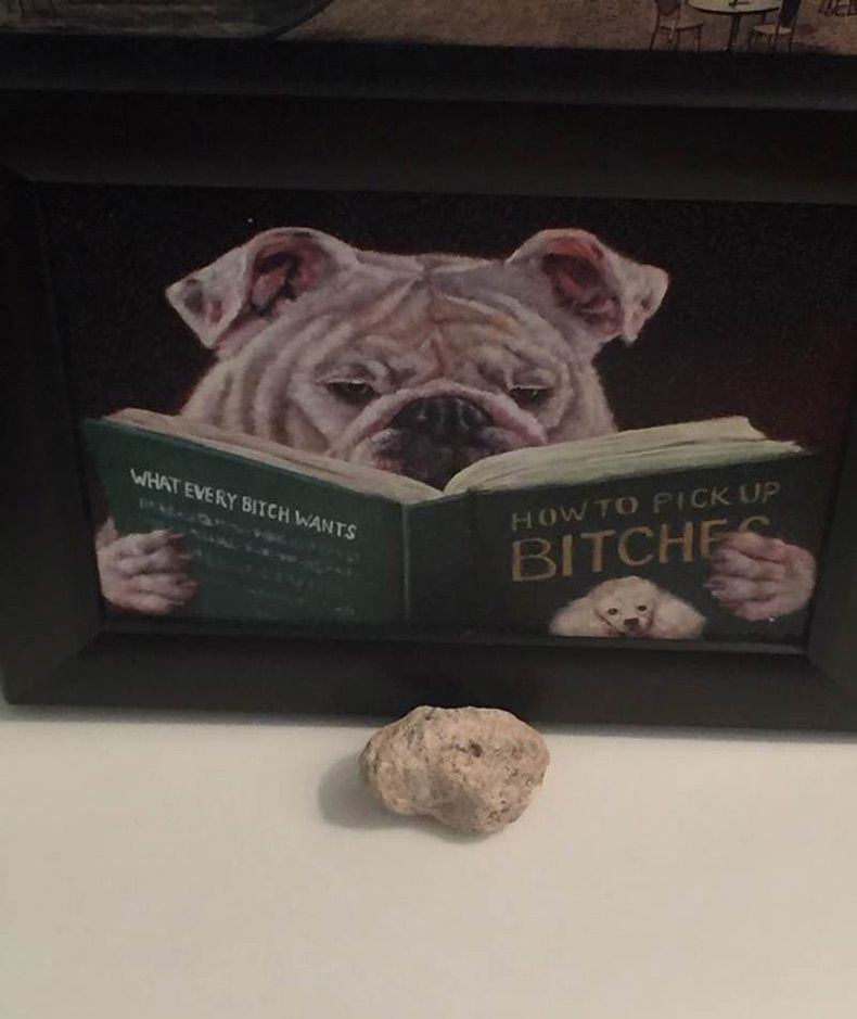 Gewoon een verzameling hilarische foto's #1583