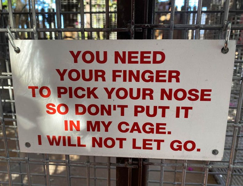 Gewoon een verzameling hilarische foto's #1583