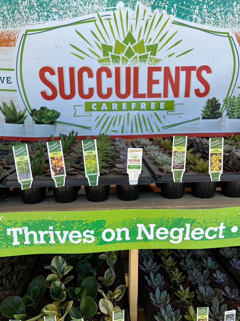 Gewoon een verzameling hilarische foto's #1583