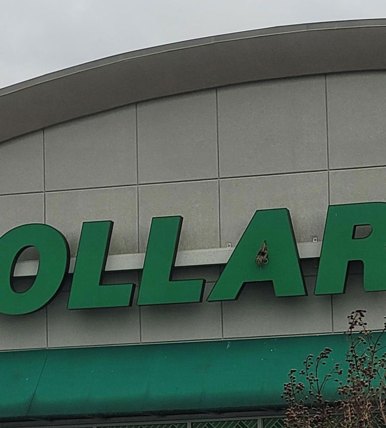 Gewoon een verzameling hilarische foto's #1583