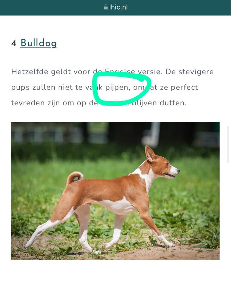 Gewoon een verzameling hilarische foto's #1583