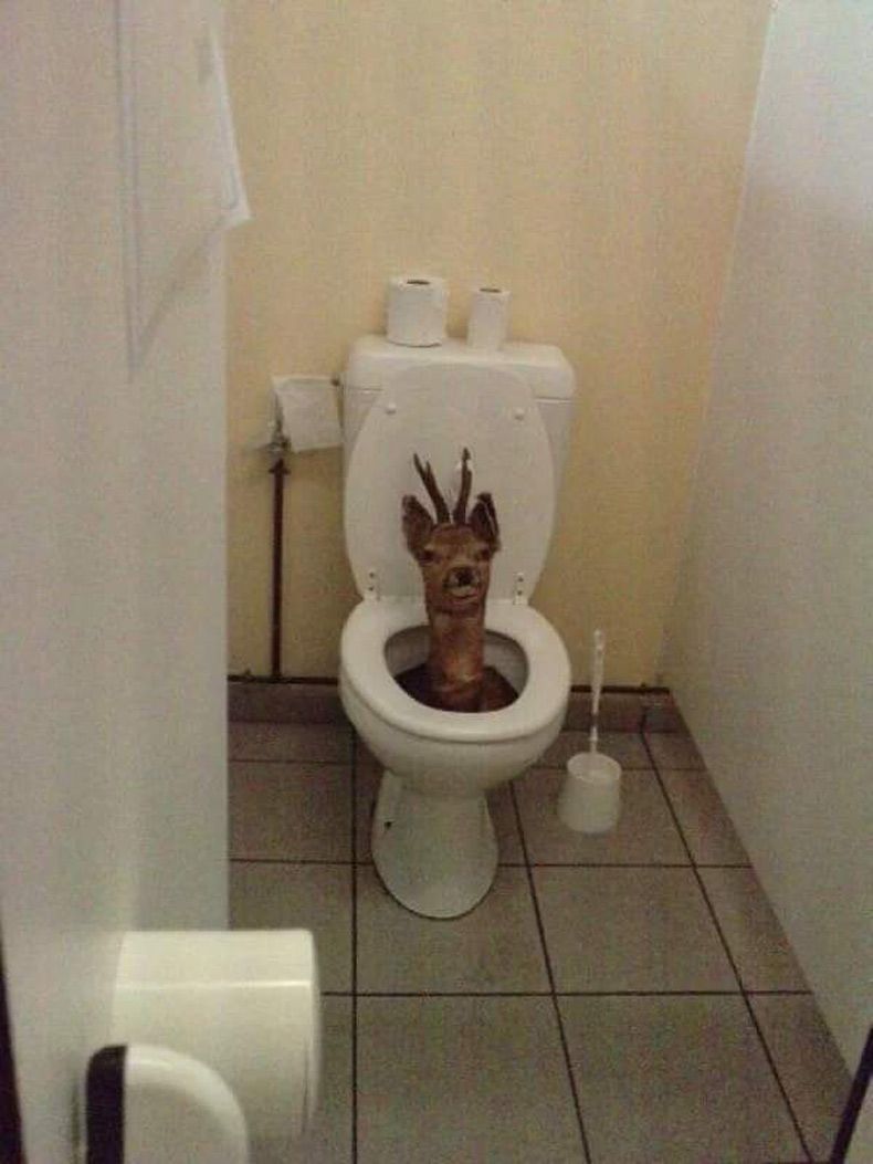 Gewoon een verzameling hilarische foto's #1583